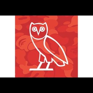 Meet your Posher, Noah